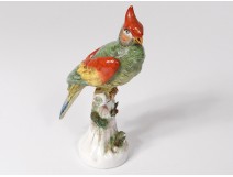 Sculpture Meissen porcelain bird parrot nineteenth century Germany