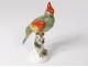 Sculpture Meissen porcelain bird parrot nineteenth century Germany