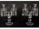 Pair candelabra sconces 2 lights crystal chandelier Baccarat Bamboo XXth