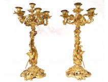 Large candelabra 7 Louis XV gilt bronze fire bird seed 77cm nineteenth