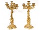 Large candelabra 7 Louis XV gilt bronze fire bird seed 77cm nineteenth