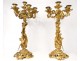 Large candelabra 7 Louis XV gilt bronze fire bird seed 77cm nineteenth