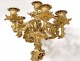 Large candelabra 7 Louis XV gilt bronze fire bird seed 77cm nineteenth