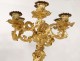 Large candelabra 7 Louis XV gilt bronze fire bird seed 77cm nineteenth