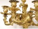 Large candelabra 7 Louis XV gilt bronze fire bird seed 77cm nineteenth