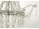 Charles X chandelier trash chandelier crystal glass carved garlands nineteenth