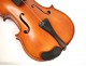 Whole violin luthier Paulus Pilat 19th