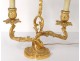 Louis XV wall lamp 2 fires bronze gilt rocaille foliage 20th century