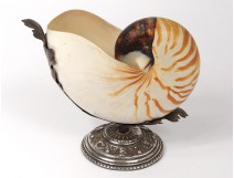 Nautilus decorative shell with silver plated frame 20th century