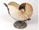 Nautilus decorative shell with silver plated frame 20th century