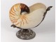 Nautilus decorative shell with silver plated frame 20th century