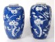 Pair vases Chinese porcelain flowers prunus Kangxi Yongzheng China XVIIIth