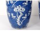 Pair vases Chinese porcelain flowers prunus Kangxi Yongzheng China XVIIIth