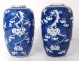 Pair vases Chinese porcelain flowers prunus Kangxi Yongzheng China XVIIIth