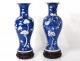 Pair small vases balusters porcelain China prunus Kangxi Yongzheng 18th