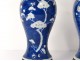 Pair small vases balusters porcelain China prunus Kangxi Yongzheng 18th