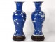 Pair small vases balusters porcelain China prunus Kangxi Yongzheng 18th