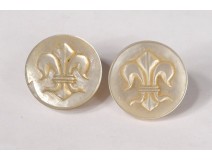 Pair of cufflinks old mother-of-pearl lily flowers 19th century