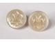 Pair of cufflinks old mother-of-pearl lily flowers 19th century