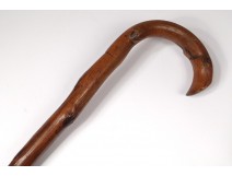 Cane old carved wood Popular Art antqiue french cane XIXth century