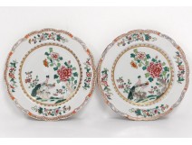 Pair dishes porcelain Company Indes family green birds flowers XVIII